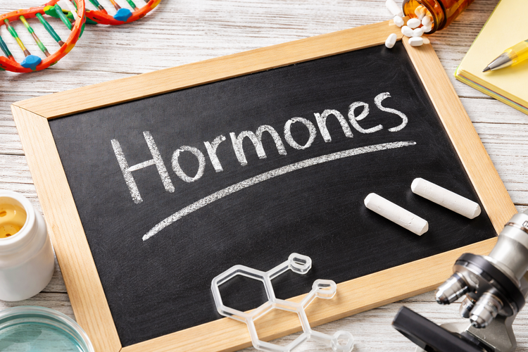 Chalkboard labelled hormones with DNA model, microscope and notepad.